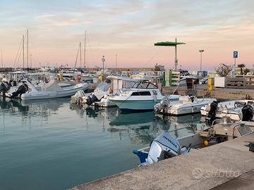 Barca Americana Walk Around 2288