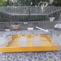gabbia per canarini