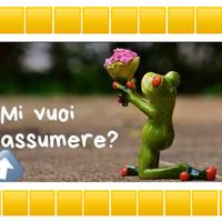 Le mie caratteristiche ed esperienze per voi