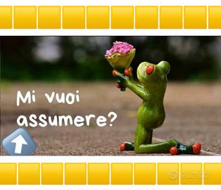 Le mie caratteristiche ed esperienze per voi