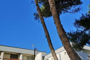 Sardegna last minute Stintino 10-15 agosto 2026