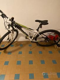 Mountain bike
