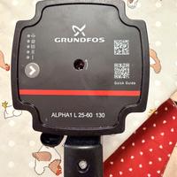 Circolatore per caldaia grundfos