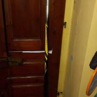 canna da pesca bolognese 