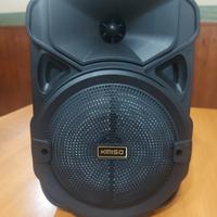 Cassa Portatile Wireless + Microfono