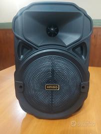 Cassa Portatile Wireless + Microfono