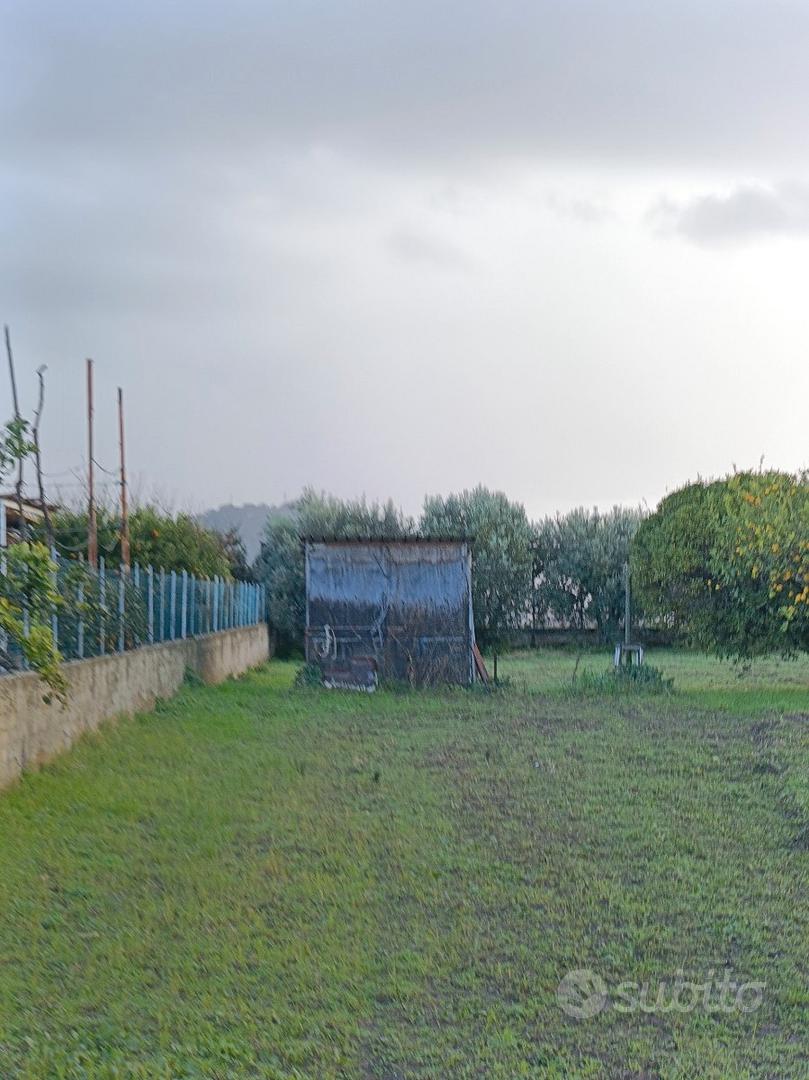 Terreno agricolo - Vista 4