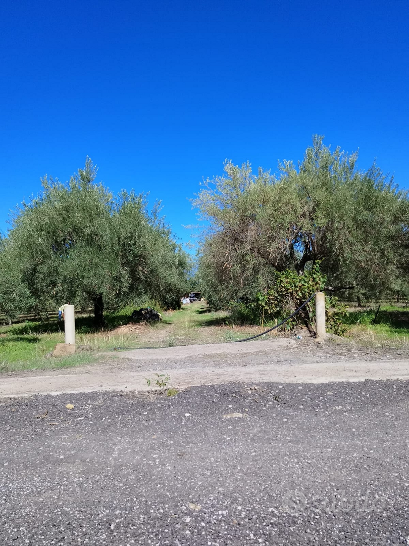 Vendita Terreno Agricolo - Vista 2