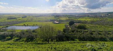 Nurri: Casa in lotto di 4,5 ettari