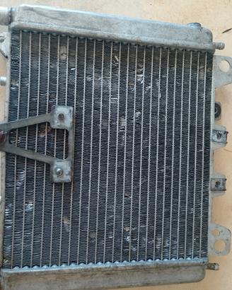 radiatore Beverly 300