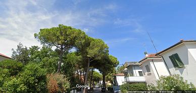 Rif:409 monolocale a porto fuori con giardino