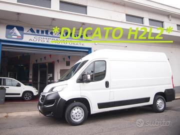 Fiat Ducato MJT 115CV H2L2 MEDIO EURO6 13Q-2019