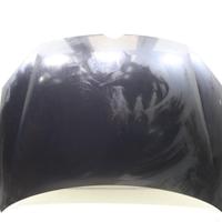 COFANO ANTERIORE VOLKSWAGEN Golf 6 Berlina 5K08230