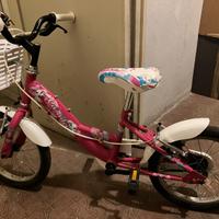 Bicicletta bambina 3-6 anni