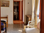 Immagine 10