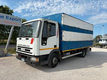 Iveco eurocargo 75e12 TRASPORTO ANIMALI