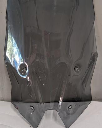 Cupolino Puig Touring BMW R 1250 RS - Fumé