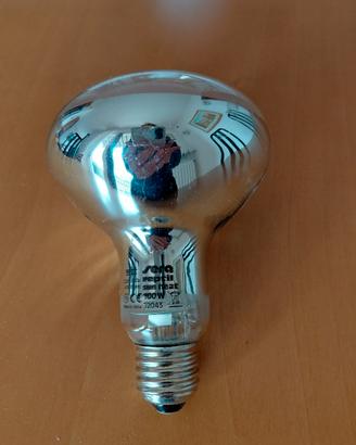 lampada per rettili