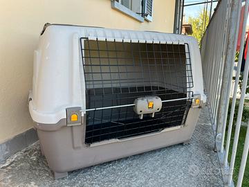Trasportino auto per cane
