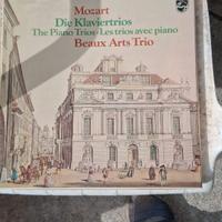 Dischi in vinile