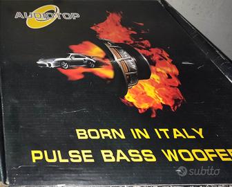 Subwoofer Car - Auto Audiotop15.4 pollici 