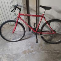 bicicletta ragazzo/adulto 