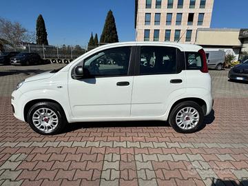 FIAT New Panda 1.2 S.&S. E6D-TEMP EASY 5 POSTI