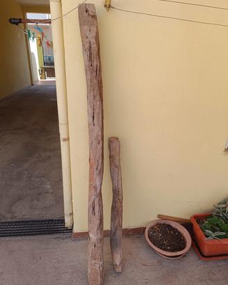 Tronco legno ginepro