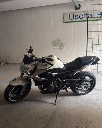 Yamaha XJ6 2011