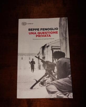 Libro " Una questione privata"