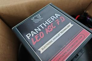 Panthera  leo active sound 7.0