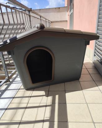 Cuccia per cane