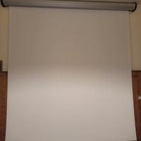 Schermo di proiezione motorizzato