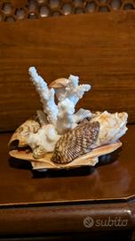 Soprammobile mare con conchiglie