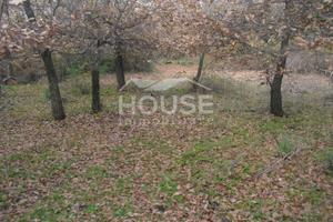 Ragalna - terreno agricolo pianeggiante id: ra012t