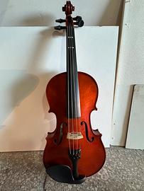 Violino W-Graz