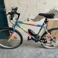 MTB Ragazzo 24 colorata