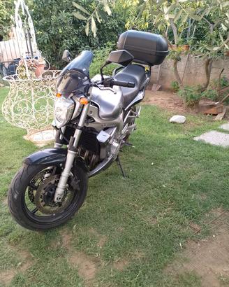 Yamaha fz6