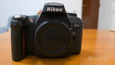 Nikon F75-Reflex analogica 35mm
