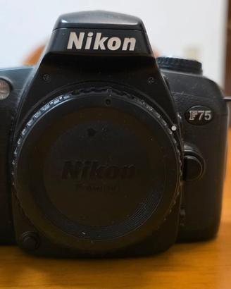 Nikon F75-Reflex analogica 35mm