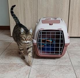 trasportino gatto o piccolo cane