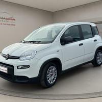 FIAT Panda 1.0 FireFly S&S Hybrid VISIBILI IN SE