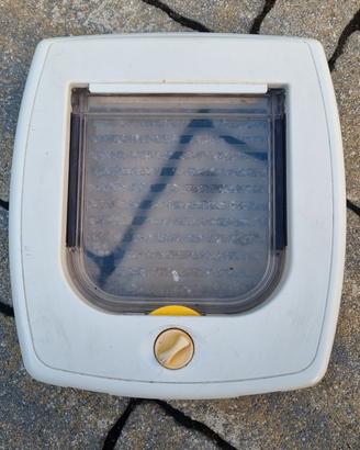 Gattaiola passaggio Gatto