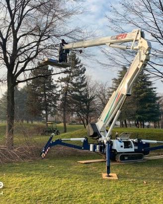 Piattaforma aerea ragno Cela DT Crawler 28