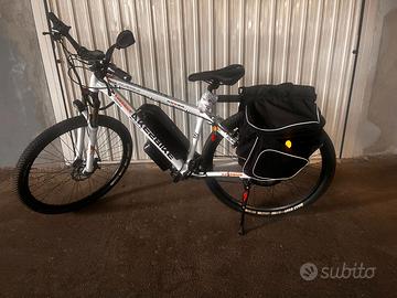 bicicletta elettrica