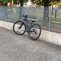 mountan bike focus