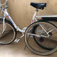 Bicicletta pieghevole 