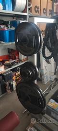 Technogym dischi gommati pesi bumper barbell