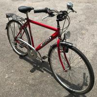 Bici da uomo