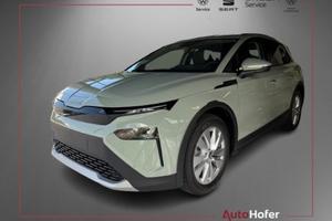 SKODA Elroq 60 Camera LED Navi 19" DAB+